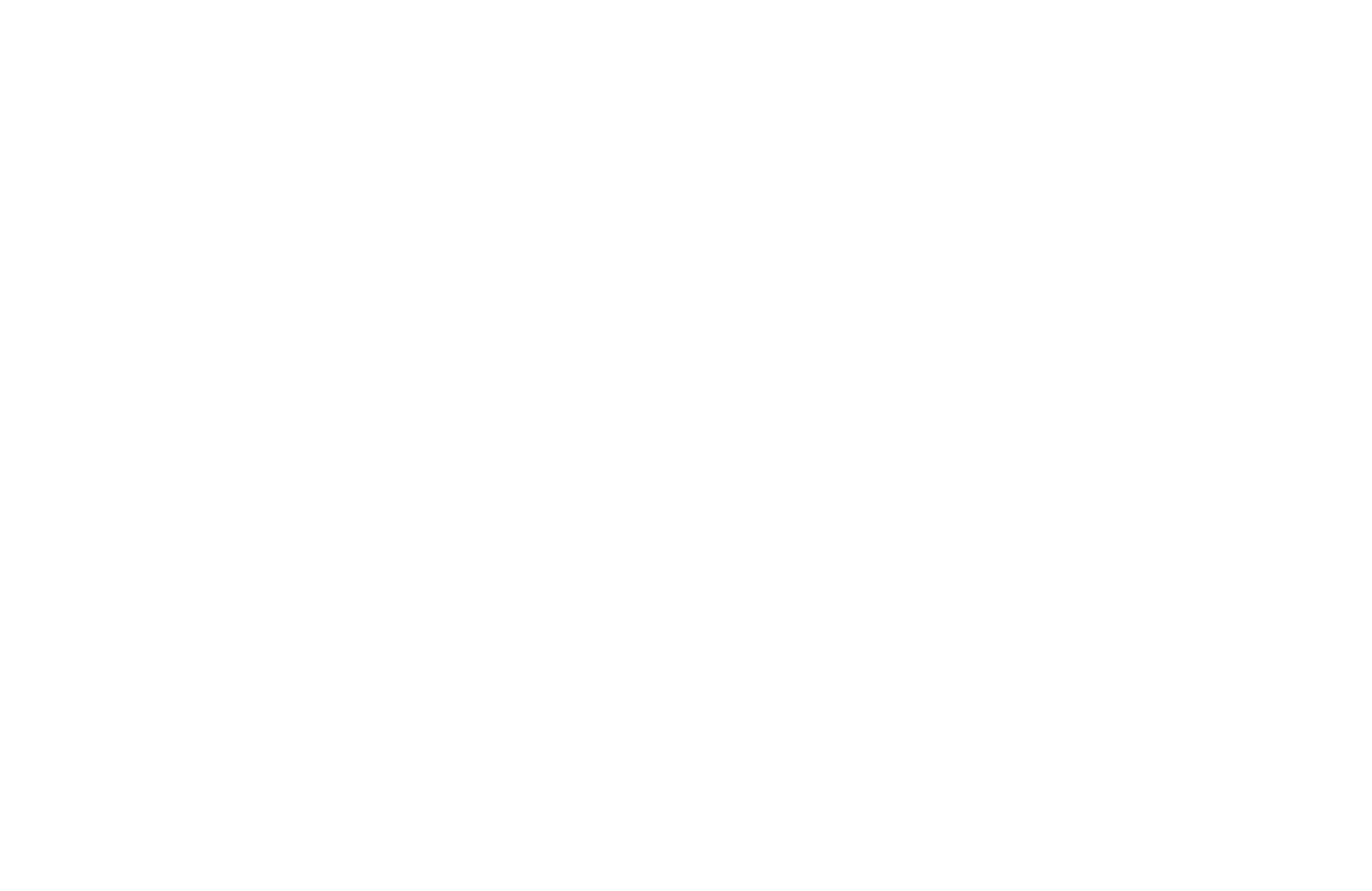 firefly Logo